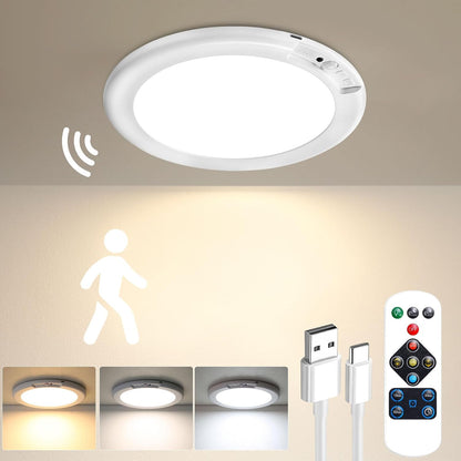 Magnetic Motion Ceiling Light