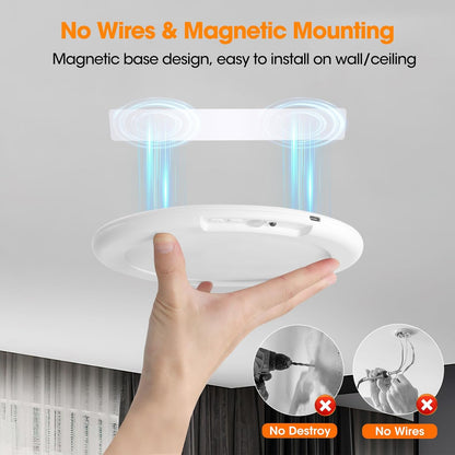 Magnetic Motion Ceiling Light