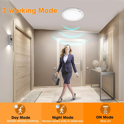 Magnetic Motion Ceiling Light
