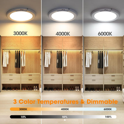 Magnetic Motion Ceiling Light